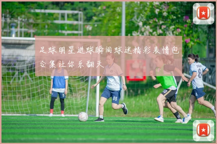 足球明星进球瞬间球迷精彩表情包合集让你乐翻天