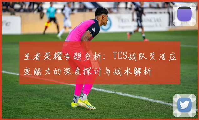 王者荣耀专题分析：TES战队灵活应变能力的深度探讨与战术解析
