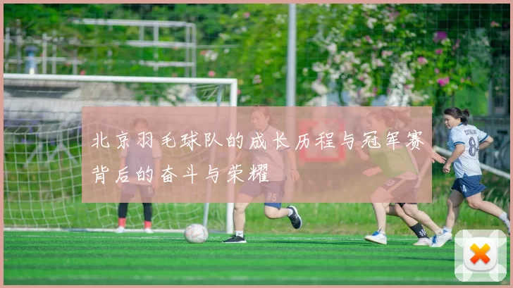 北京羽毛球队的成长历程与冠军赛背后的奋斗与荣耀