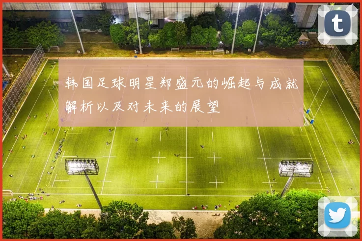 韩国足球明星郑盛元的崛起与成就解析以及对未来的展望