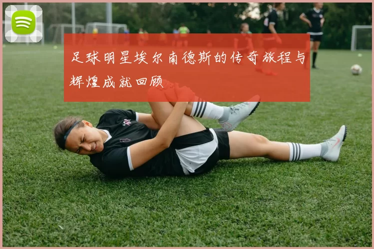 足球明星埃尔南德斯的传奇旅程与辉煌成就回顾