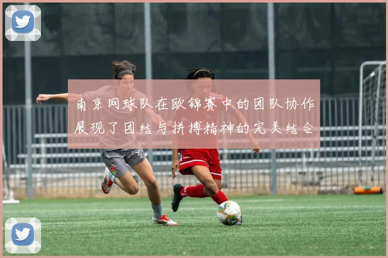 南京网球队在欧锦赛中的团队协作展现了团结与拼搏精神的完美结合