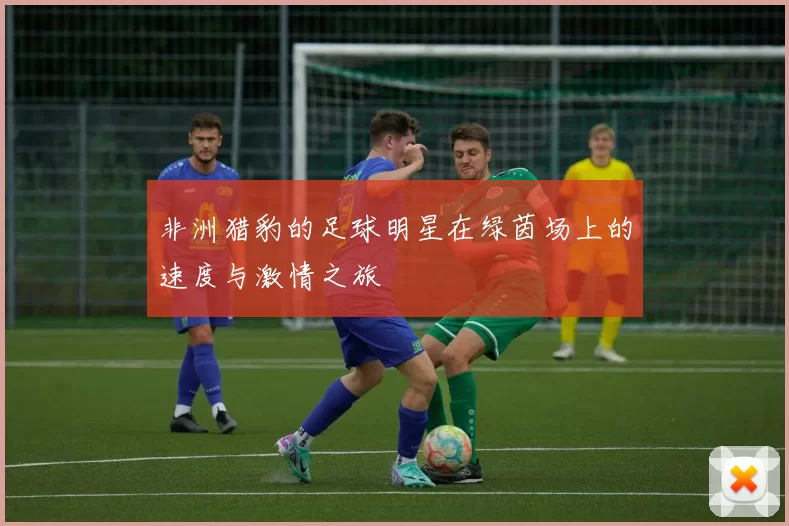 非洲猎豹的足球明星在绿茵场上的速度与激情之旅