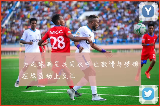 为足球明星共同欢呼让激情与梦想在绿茵场上交汇