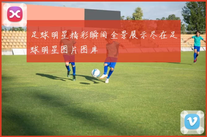 足球明星精彩瞬间全景展示尽在足球明星图片图库