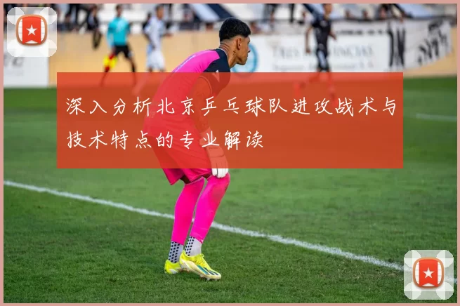 深入分析北京乒乓球队进攻战术与技术特点的专业解读