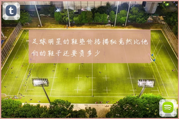 足球明星的鞋垫价格揭秘竟然比他们的鞋子还要贵多少
