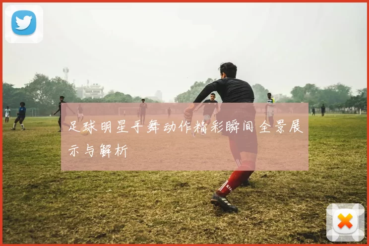足球明星手舞动作精彩瞬间全景展示与解析